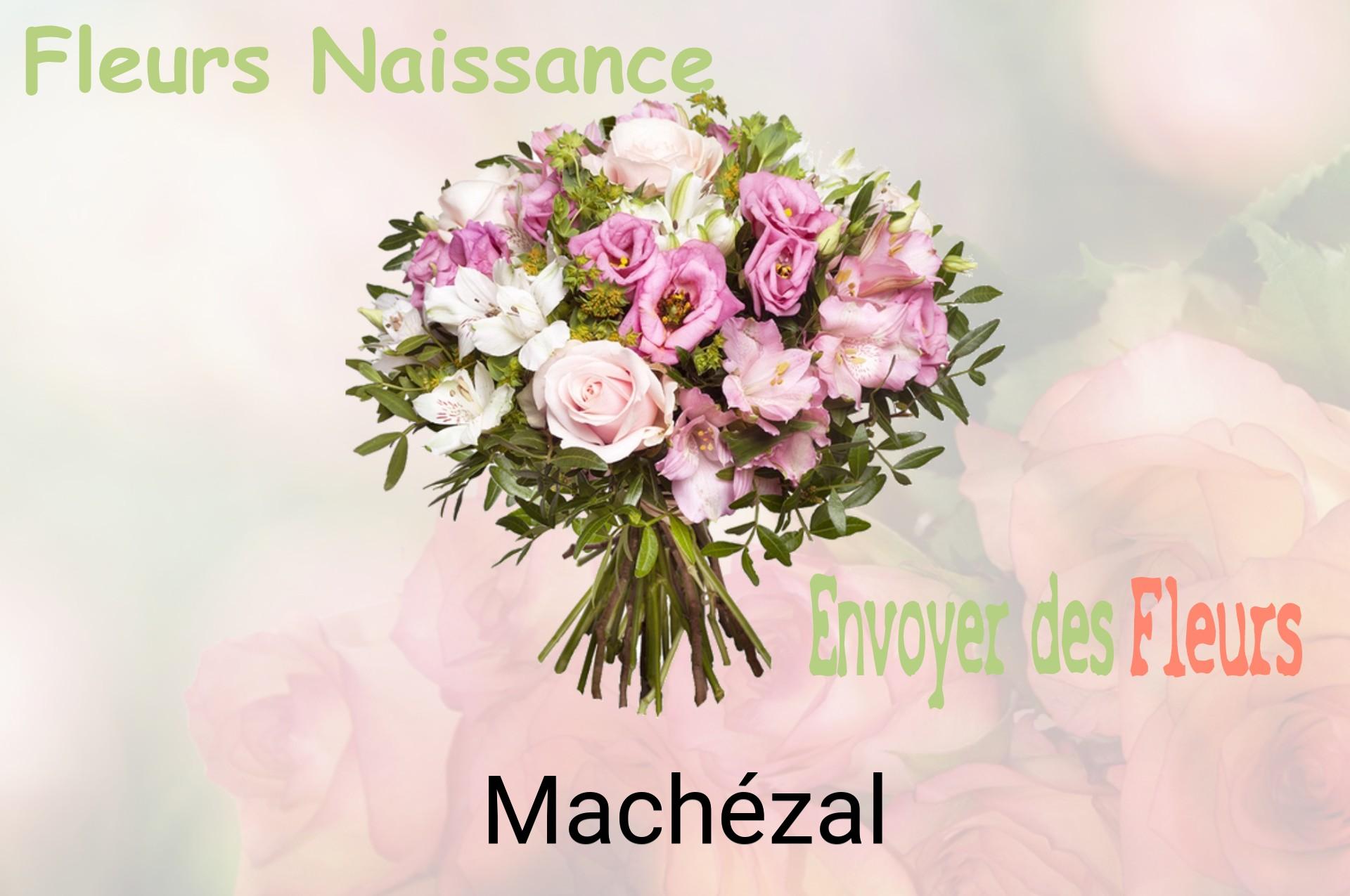 Bouquet de fleurs de naissance livré à Machézal